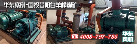 特殊密封羅茨風(fēng)機