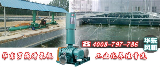 羅茨增氧機(jī)