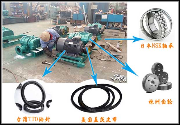 【面粉廠】脈沖風(fēng)機(jī)為什么要選擇華東？
