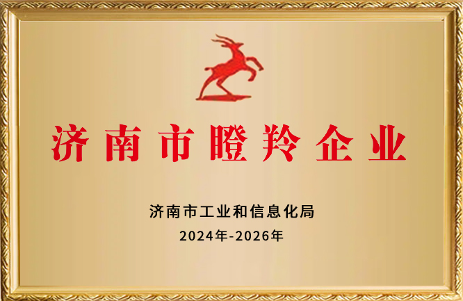 華東榮譽-濟南市瞪羚企業(yè)