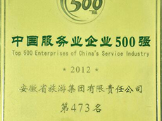 2012年度中國服務業企業500強
