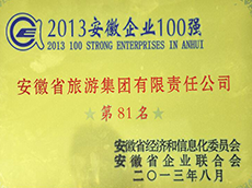 2013年度安徽企業100強