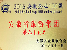 2016年度安徽企業100強
